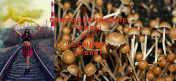 спайс Вяземский